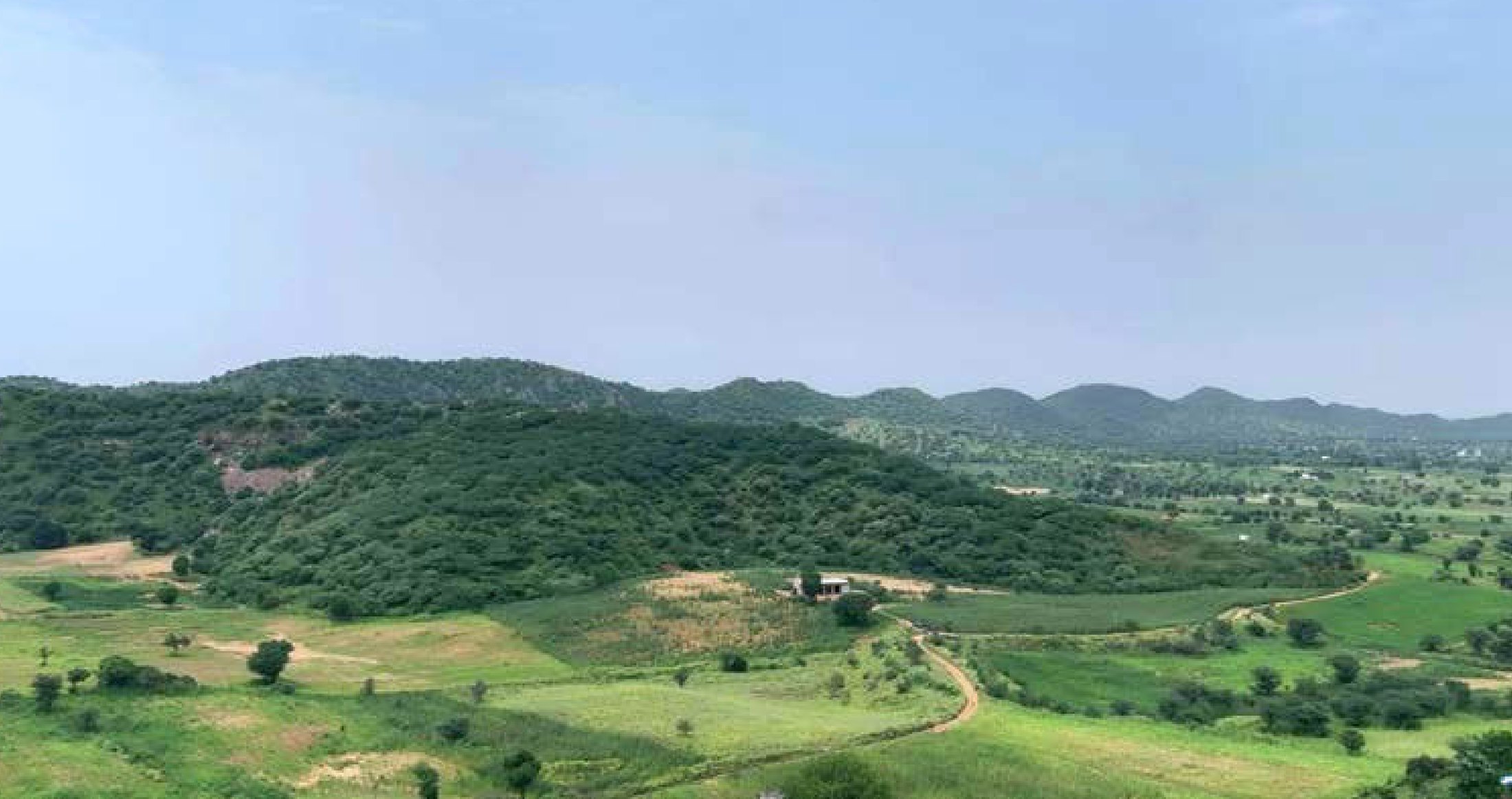 Panoramic view of the Aravalli ridgeline across the 200-acre estate